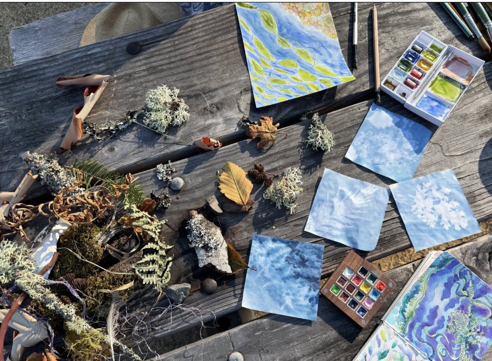 Sun prints, watercolours and gathered fern, lichen, shell and leaf laid out on a weathered picnic table