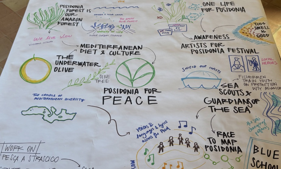 A hand-drawn design sheet from a session in Pollica: Posidonia forest is our Amazon forest, the underwater olive, Posidonia for Peace, sea scouts and guardians of the sea, a race to map Posidonia, artists for a Posidonia festival