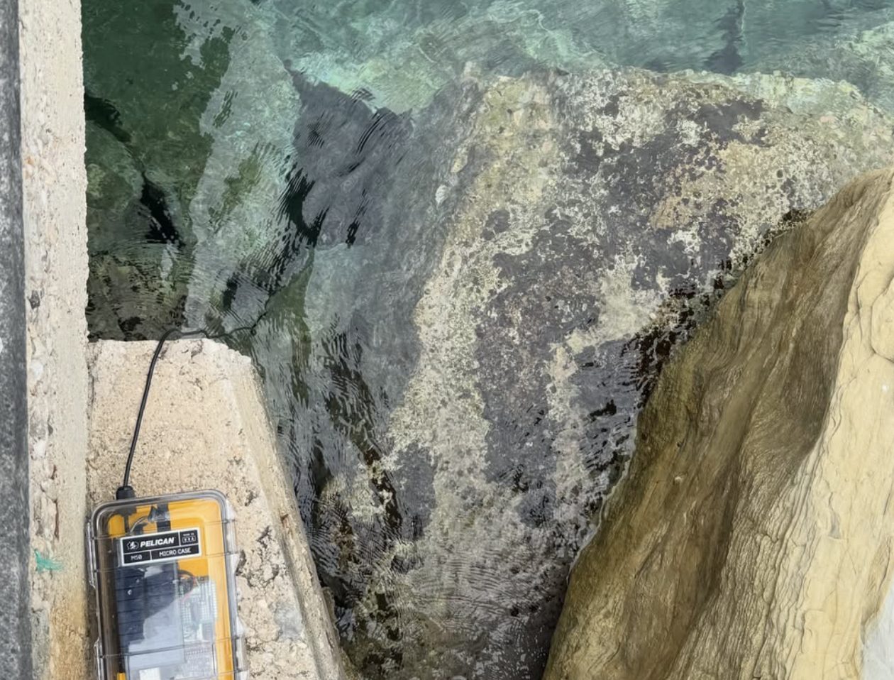 A yellow sensor case with its cable running into clear shallow water between limestone rocks