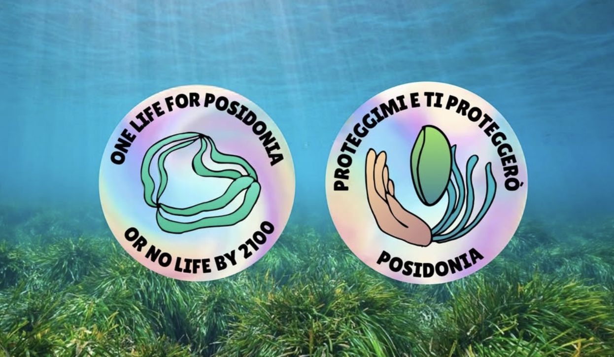 Two round holographic stickers over a seagrass meadow: One life for Posidonia or no life by 2100, and Proteggimi e ti proteggerò